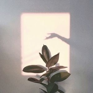 Meet your Poshers, C & C